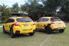 auto and manual driving lessons